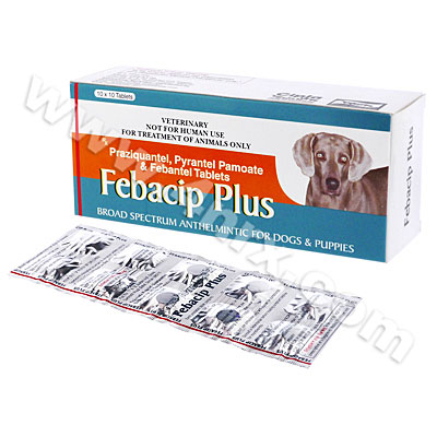 Febacip Plus (Praziquantel / Pyrantel Pamoate / Febantel)